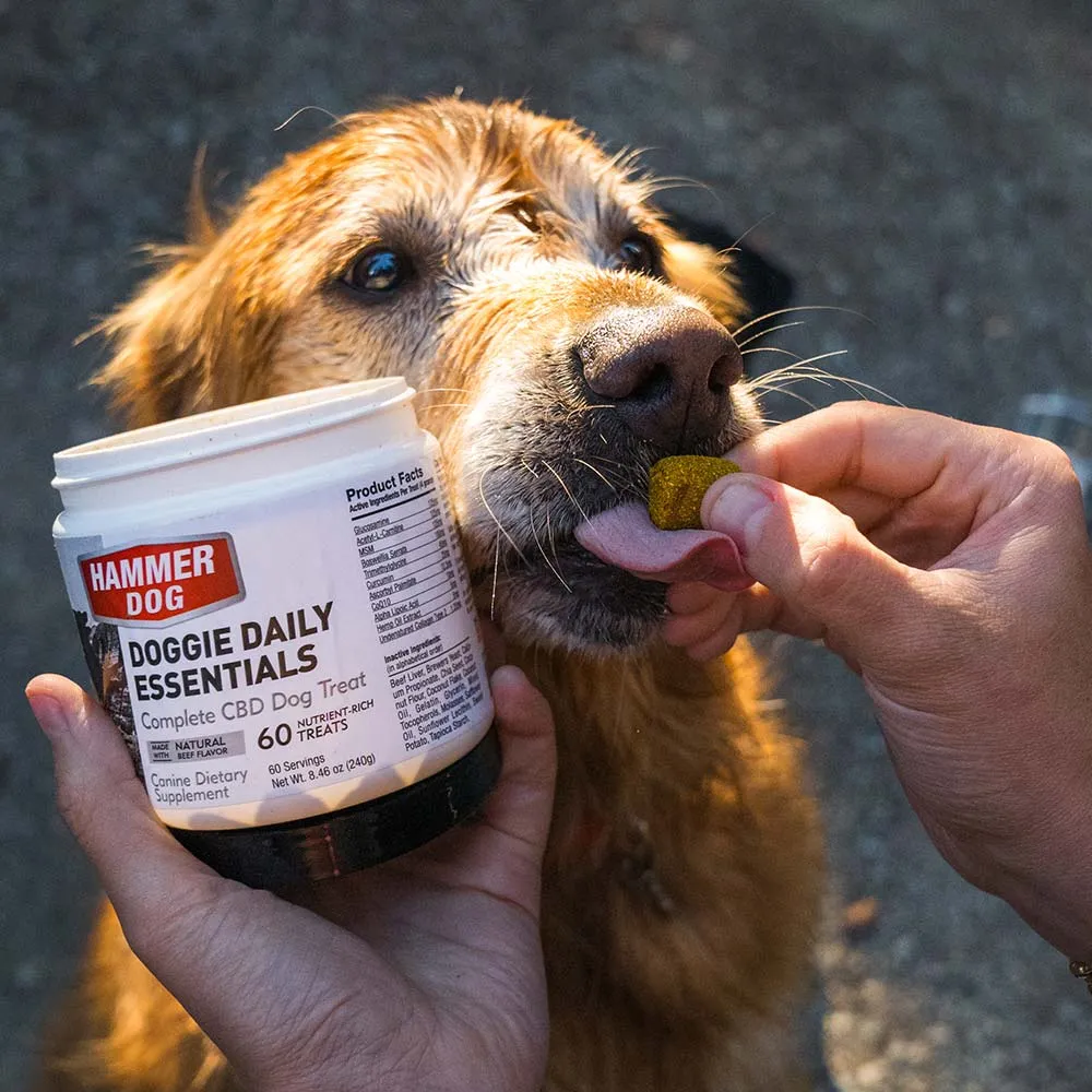 Doggie Daily Essentials